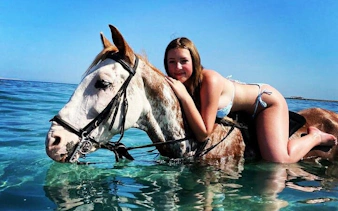 Horse swimming in the Red Sea with rider during Hurghada beach tour.