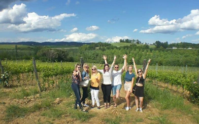 Small group enjoying a vineyard tour in Tuscany with scenic hills in the background.