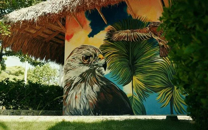 Mural of a hawk and palm leaves at a wildlife conservation area in Punta Cana.