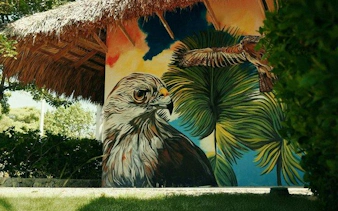 Mural of a hawk and palm leaves at a wildlife conservation area in Punta Cana.