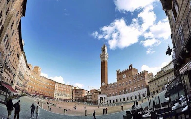 Piazza del Campo in Siena with Torre del Mangia under a blue sky.
