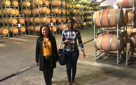 Durbanville Winelands Private Wine Estates Tour from Cape Town