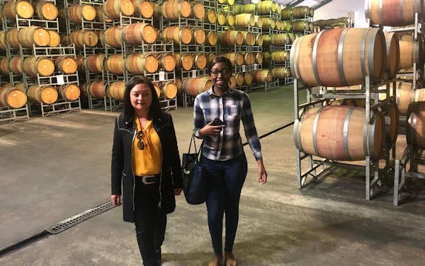 Durbanville Winelands Private Wine Estates Tour from Cape Town