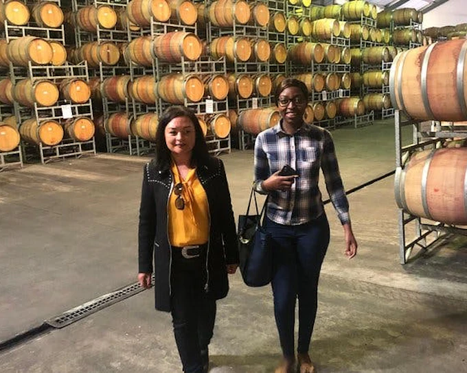 Durbanville Winelands Private Wine Estates Tour from Cape Town