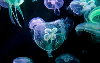 antalya aquarium & fun park tour–all-inclusive with hotel pickup-5