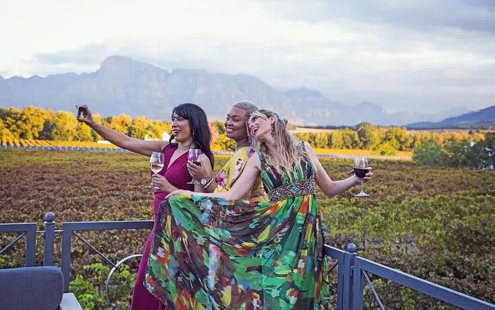constantia winelands private wine tour from cape town-6