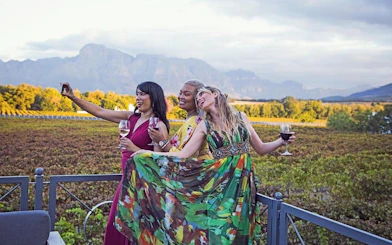 Constantia Winelands Private Wine Tour from Cape Town