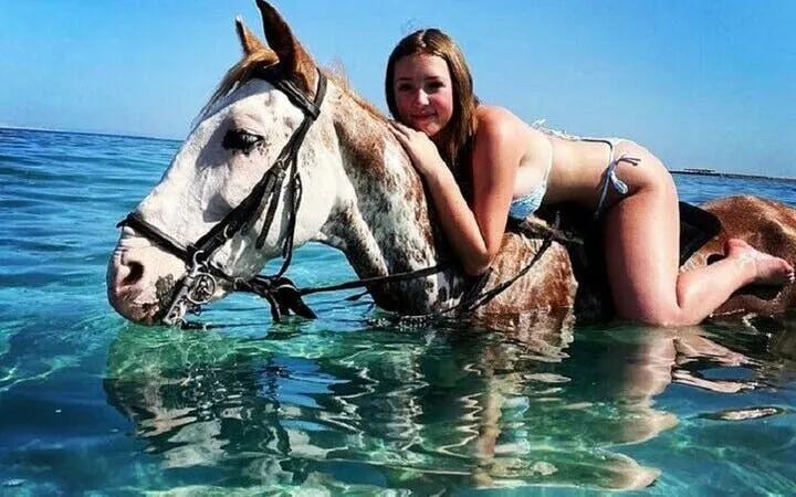 Swimming with a horse in the Red Sea near Hurghada.