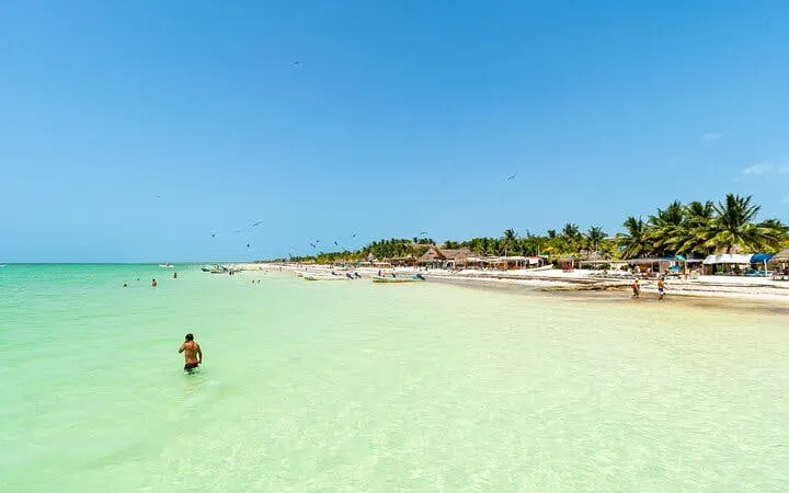 Holbox Island beach with clear turquoise water and palm trees, Mexico.