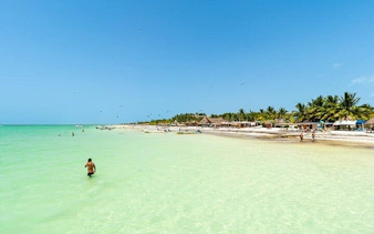 Holbox Island beach with clear turquoise water and palm trees, Mexico.