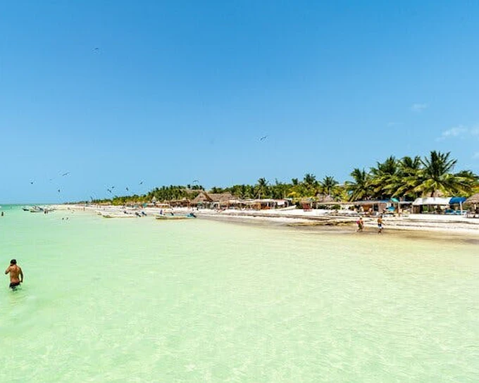 Holbox Island and Pasion Island Day Trip with Punta Mosquito Visit and Lunch