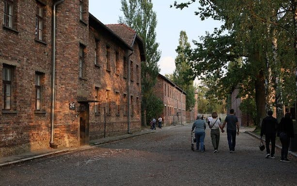 auschwitz with minivan hotel pickup from krakow-5