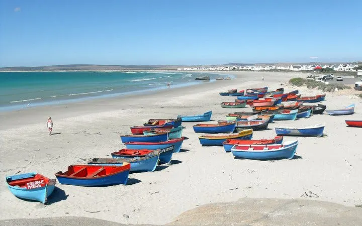 cape west coast private guided tour from cape town-7