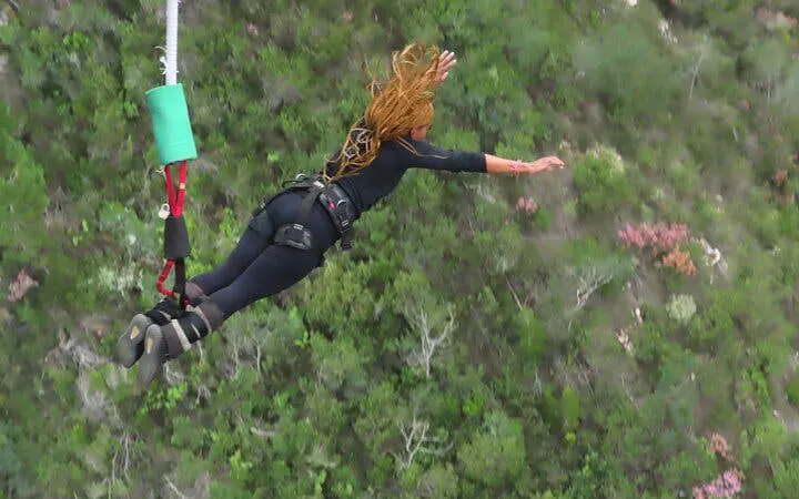 tour avventuroso lungo la garden route da città del capo: bungee jumping e immersione in gabbia tra gli squali con pernottamento-6
