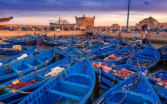 Essaouira harbor with blue fishing boats and historic fortress at sunset, Morocco.