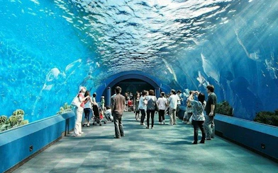 Visitors walking through an underwater tunnel at Underwater World Pattaya, Thailand.