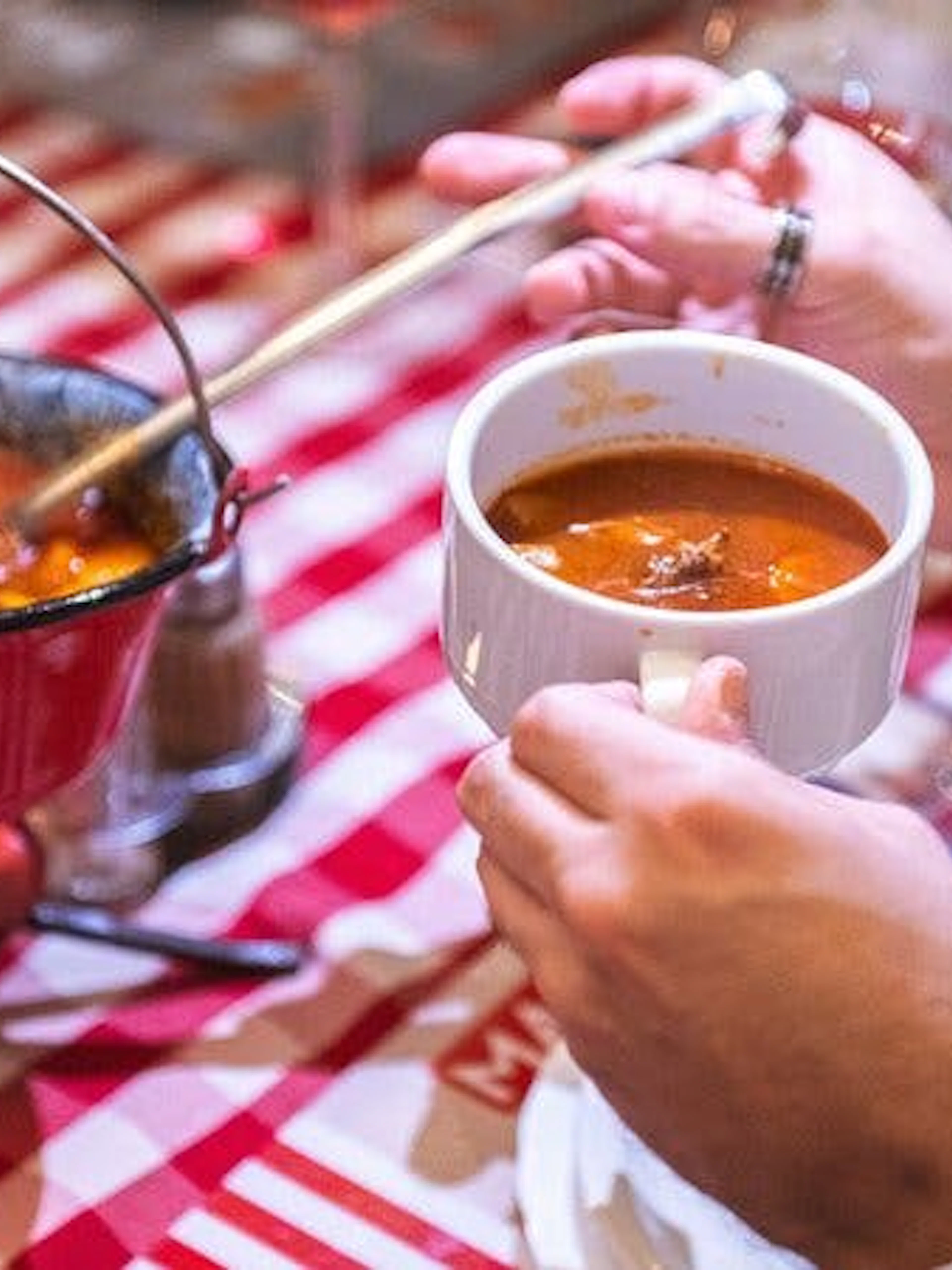 Hungarian goulash served in a pot and cup during Budapest food tour with local wines.