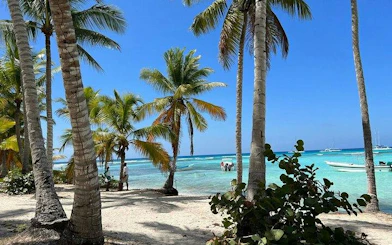 Tropical beach with palm trees and turquoise water on Saona Island, Punta Cana.