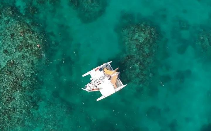 Catamaran sailing over clear waters in Punta Cana, with coral reefs visible below.