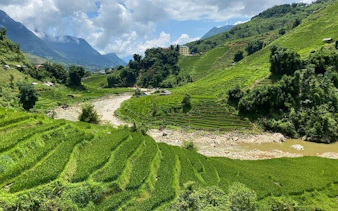 Terraced rice fields on Y Linh Ho trail, Sapa, with mountains and river in the background.