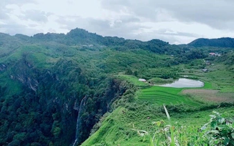 Lush green terraces and hills in Sapa, Vietnam, with a distant waterfall and tea farm.