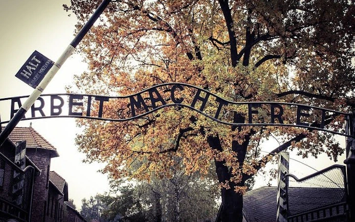 Krakow: Auschwitz-Birkenau Shared English Tour and Transfer