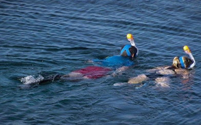 Cape Peninsula Private Tour with Guided Seal Snorkeling at Duiker Island