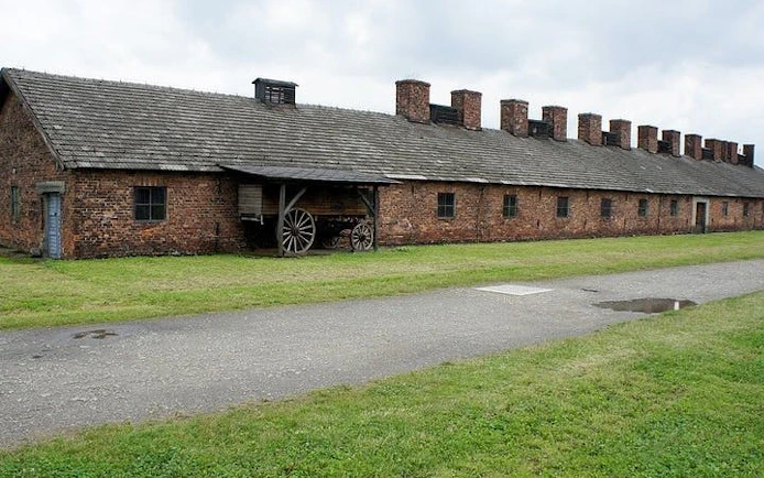 Krakow: Auschwitz-Birkenau Shared English Tour and Transfer