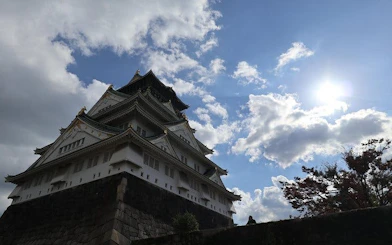 Osaka Small-Group Bike Tour of Cultural Landmarks with Lunch and Tea Break