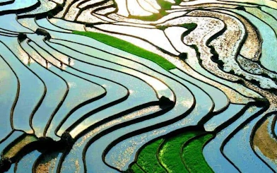 Terraced rice fields in Sapa reflecting sunlight, part of a private guided car tour.