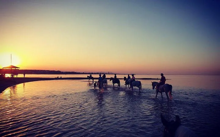Horseback riders at sunset on the Red Sea beach in Hurghada.