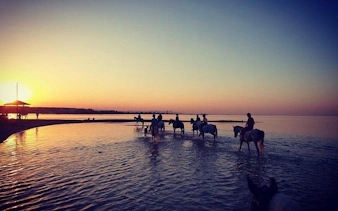 Horseback riders at sunset on the Red Sea beach in Hurghada.