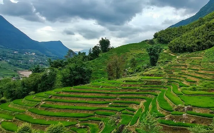 Terraced rice fields in Muong Hoa Valley, Sapa, with surrounding hills and cloudy sky.