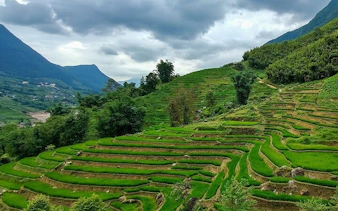 Terraced rice fields in Muong Hoa Valley, Sapa, with surrounding hills and cloudy sky.