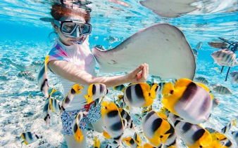 Child snorkeling with colorful fish and stingray in clear waters, Hurghada scuba diving trip.