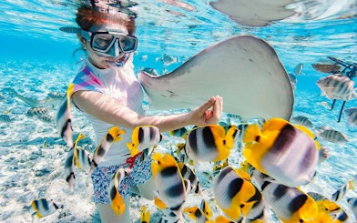 Child snorkeling with colorful fish and stingray in clear waters, Hurghada scuba diving trip.