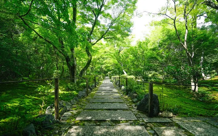 vandretur i bambusskogen og den skjulte hagen i arashiyama, kyoto-9