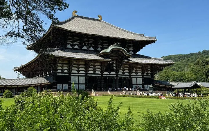 Nara: Half-Day Private Tour of 4 Must-See Spots & Deer Park Image 10