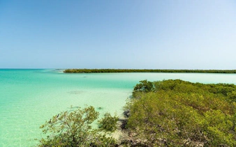 Holbox Island turquoise waters and mangroves on Pasion Island day trip.