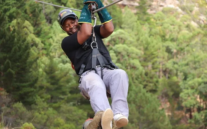 Cape Town Private Ziplining Tour in Constantia Winelands with Scenic Drives and Penguin Viewing