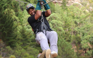 Cape Town Private Ziplining Tour in Constantia Winelands with Scenic Drives and Penguin Viewing