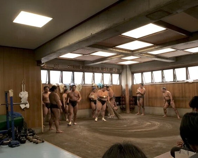 Tokyo Sumo Morning Practice Tour w/ Ring-Side Seat + Photo S