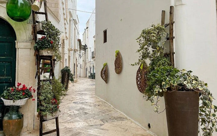 Narrow street in Locorotondo with white buildings and potted plants, Valle d'Itria tour.