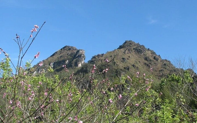 Trail view of mountains and blooming flowers on Sapa 21km guided running tour.