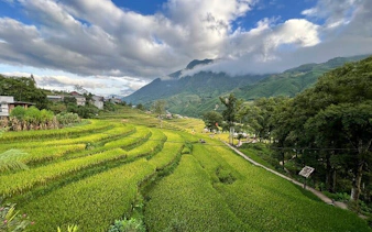 Terraced rice fields in Sapa with mountain backdrop, part of trekking and village homestay tour.