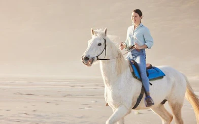 Horseback riding along the beach in Hurghada during Desert and Red Sea tour.