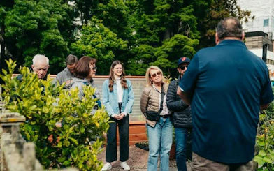 Group tour in Christchurch Botanic Gardens with guide explaining local flora.