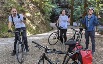 nara - private cross bike tour, hidden temple, nature, ancient sites, and sport-4