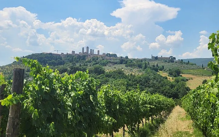 ab florenz: vespa-tour durch die toskana in kleingruppe mit mittagessen und wein-18
