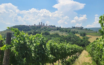 ab florenz: vespa-tour durch die toskana in kleingruppe mit mittagessen und wein-18